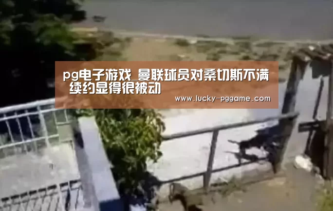 pg电子游戏