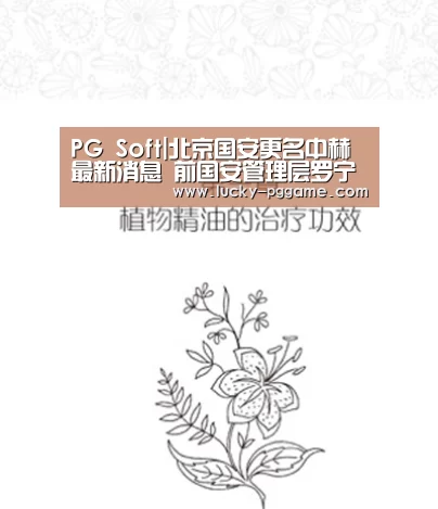 PG Soft|北京国安更名中赫最新消息 前国安管理层罗宁语录内容(图1) pg电子模拟器