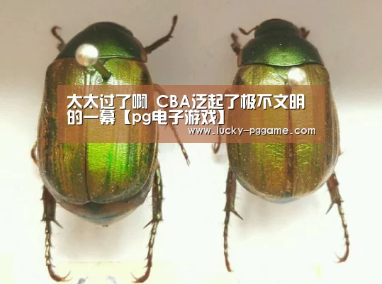 太太过了啊 CBA泛起了极不文明的一幕【pg电子游戏】(图1) PG Soft