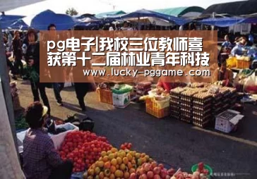 pg电子|我校三位教师喜获第十二届林业青年科技奖(图2) pg电子模拟器