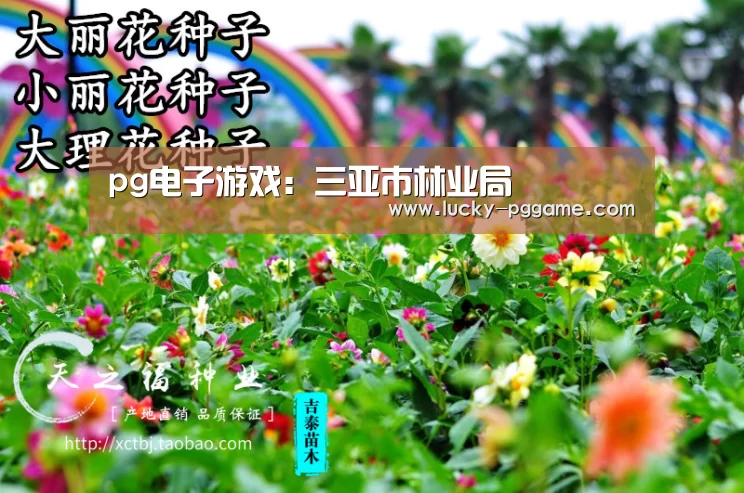 pg电子游戏:三亚市林业局(图3) pg电子模拟器