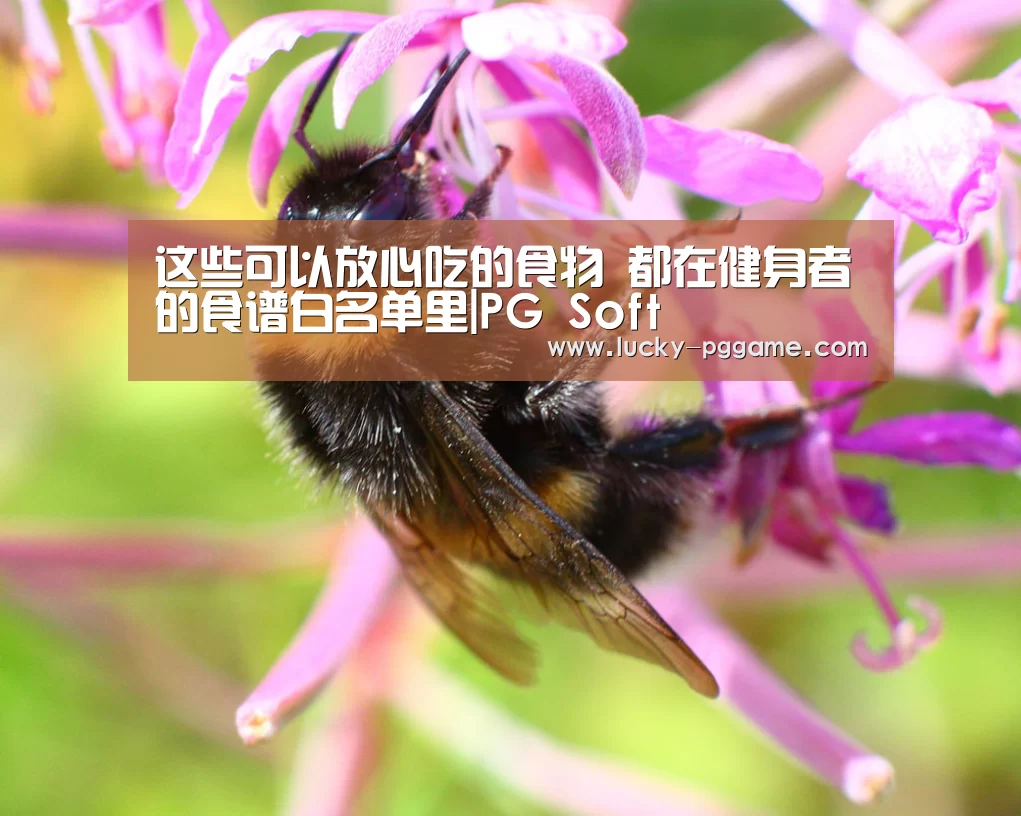 pg电子模拟器